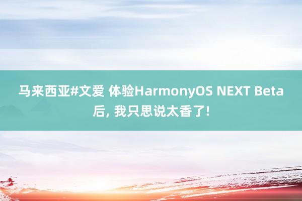 马来西亚#文爱 体验HarmonyOS NEXT Beta后， 我只思说太香了!
