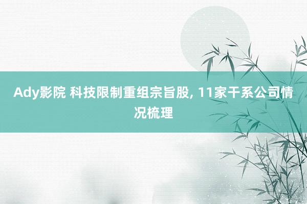 Ady影院 科技限制重组宗旨股， 11家干系公司情况梳理