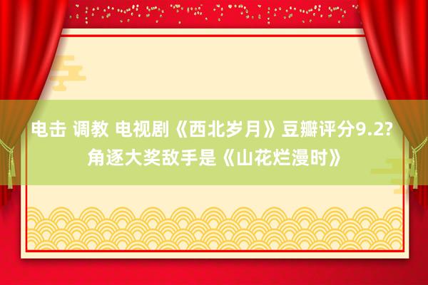 电击 调教 电视剧《西北岁月》豆瓣评分9.2? 角逐大奖敌手是《山花烂漫时》