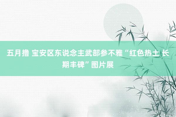 五月撸 宝安区东说念主武部参不雅“红色热土 长期丰碑”图片展