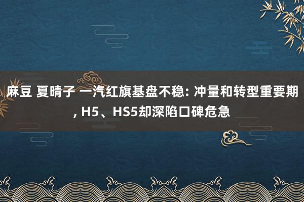 麻豆 夏晴子 一汽红旗基盘不稳: 冲量和转型重要期， H5、HS5却深陷口碑危急