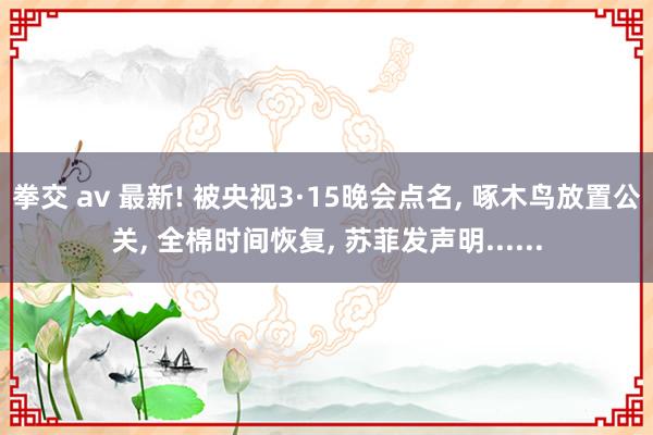 拳交 av 最新! 被央视3·15晚会点名， 啄木鸟放置公关， 全棉时间恢复， 苏菲发声明......