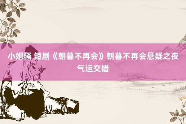 小姐骚 短剧《朝暮不再会》朝暮不再会悬疑之夜气运交错